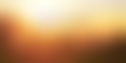 Weekly Enlightenment  | 26 January - 2 February 2020