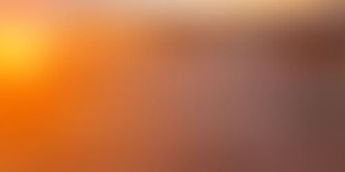 Weekly Enlightenment  | 12-19 January 2020