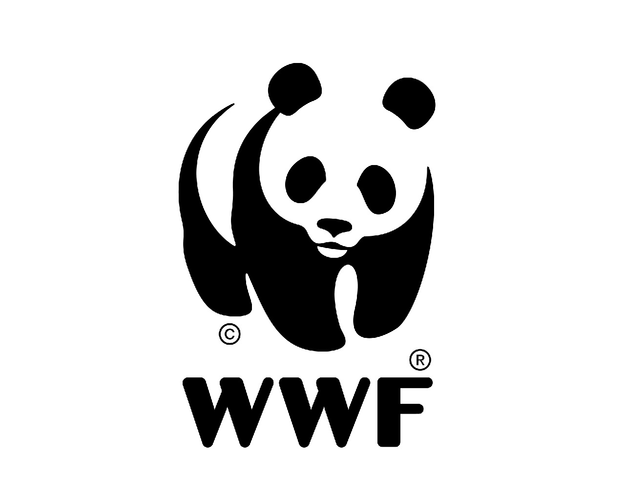 Linea WWF