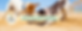 Dunes facebook covers