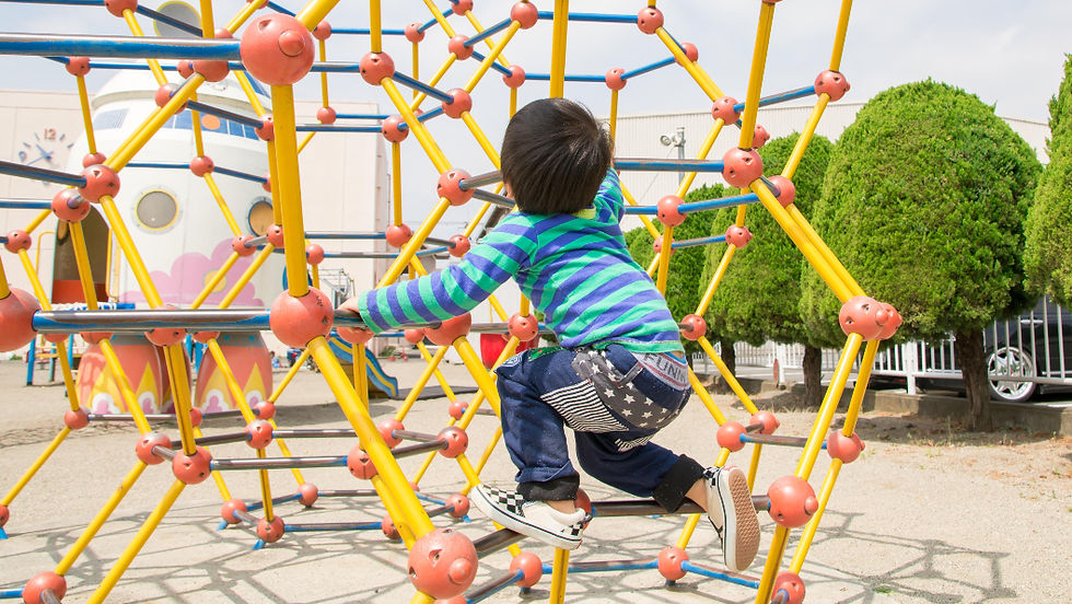 発達障害、発達支援、公園あそび、前庭覚、固有受容覚、スモールステップ、微細運動、