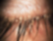 image6.jpeg