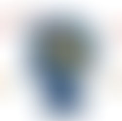 発達障害、睡眠リズム、メラトニン、記憶の固定、脳の発達、