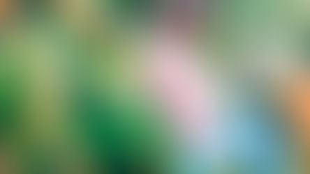 発達障害、発達支援、公園あそび、前庭覚、固有受容覚、スモールステップ、微細運動