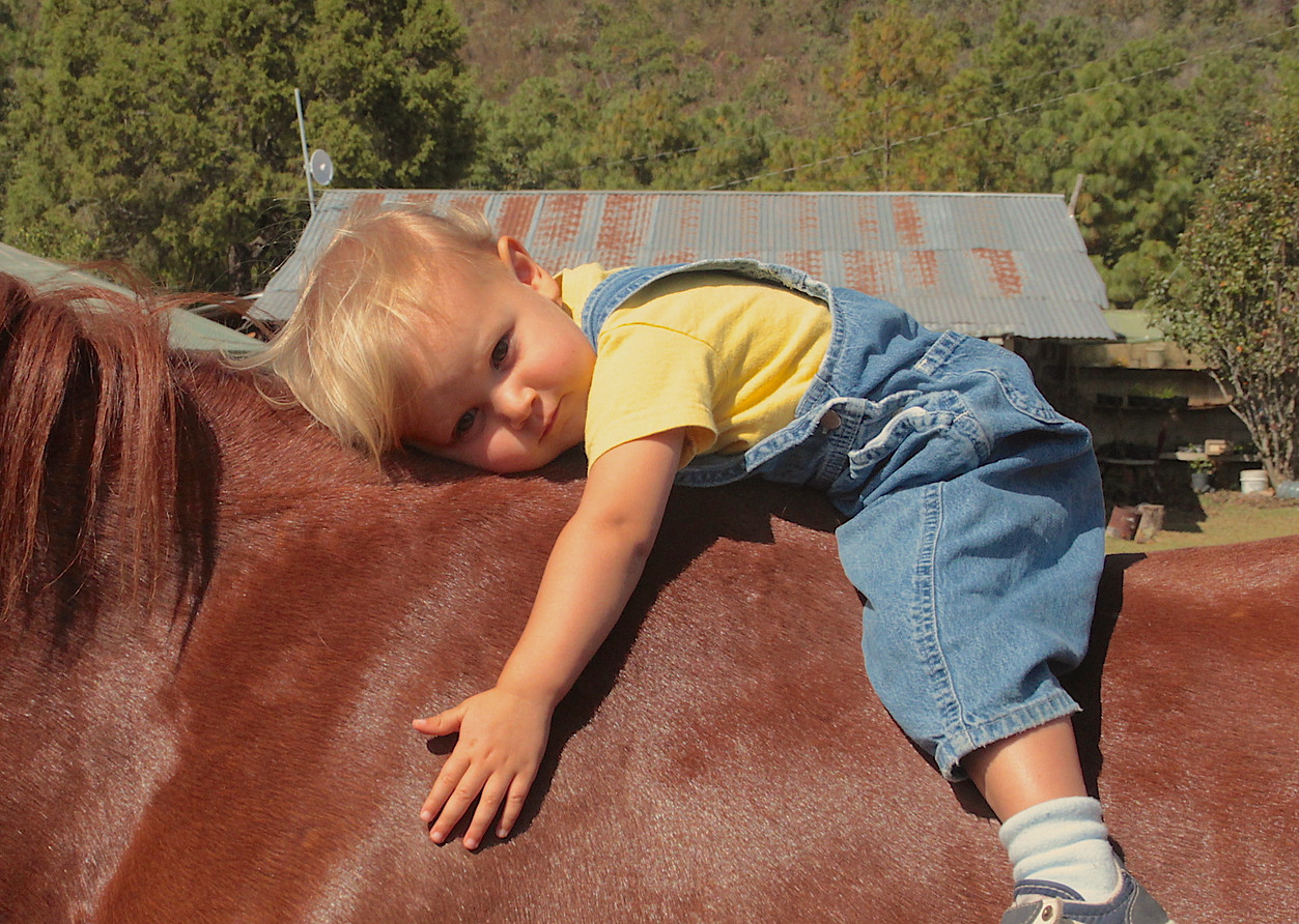 Baby on horse.jpg
