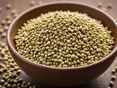 Is Hemp the Right Choice for You? A Comprehensive Look at Hemp, CBC, CBG, CBN, and More