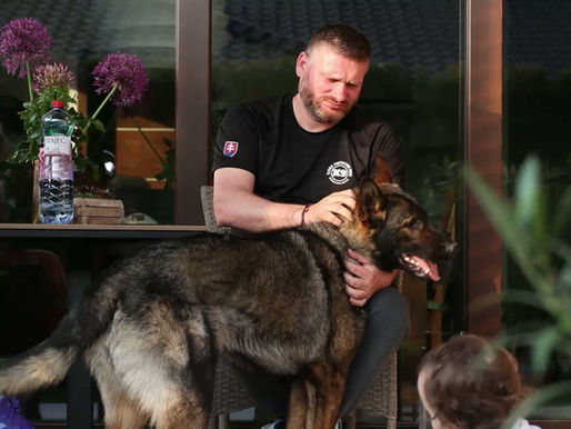 Executive and Elite Protection Dogs in New York: The Pinnacle of Personal Security.