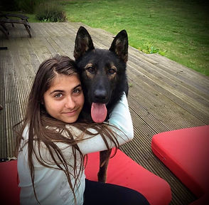 family protection dogs Italy