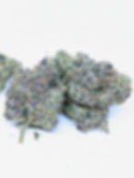 Blue Nerdz
