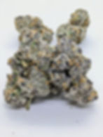 Blue City Diesel