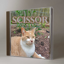 Scissor1.png