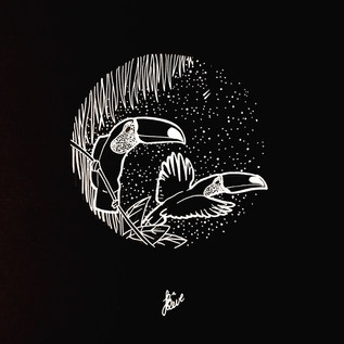 Two Toucan Can