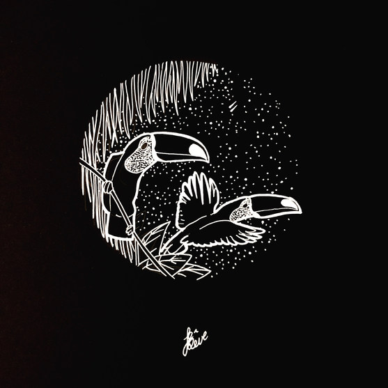 Two Toucan Can