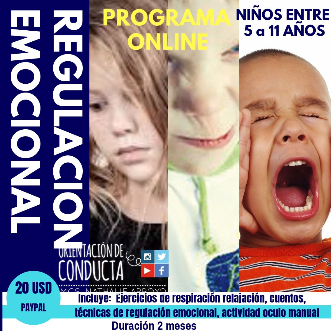 Regulación Emocional