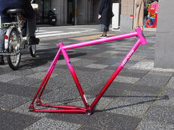 ALL-CITY BIG BLOCK
