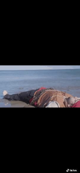 FinalGif-17416585428.gif