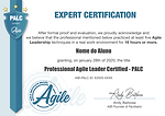 PALC-Expert-0 (2).png