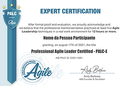 PALC-Expert-0 (3).png