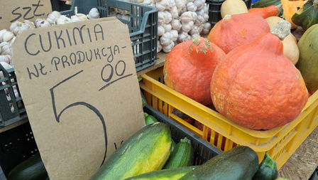 Wolumen 1 (954) kopia.jpg