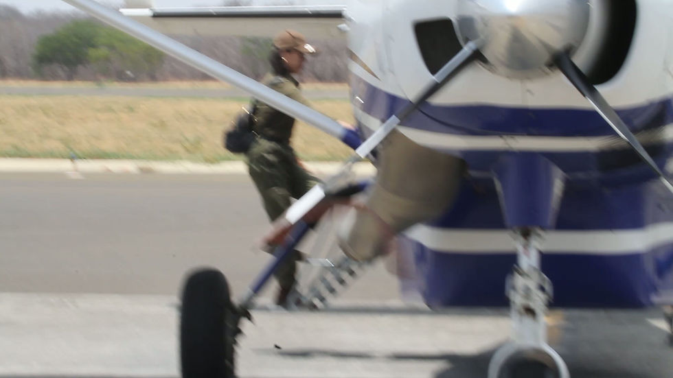 MAJOR BLUE.mp4