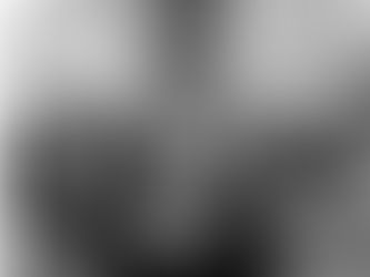 Is it true... Enlightenment?