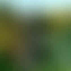 Erawan Museum gardens