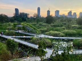 Benjakitti Park Forest