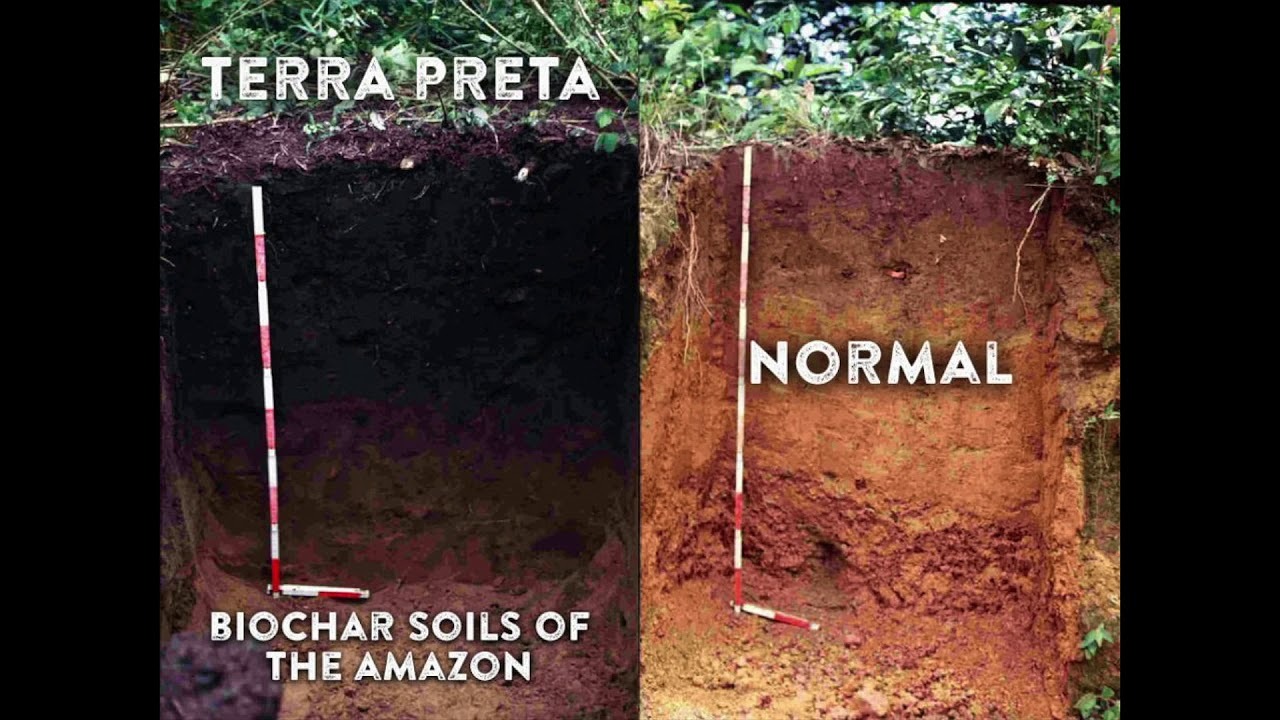 Biochar An ancient farming method for the modern world — free download
