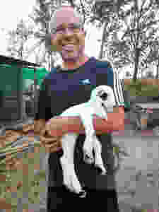 A white & black baby kid goat being held.