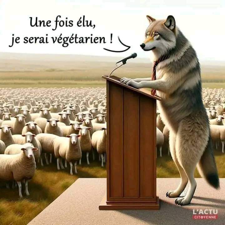 Photo du rédacteur: Zack mwekassa 