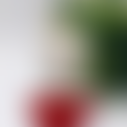 Cleaning and Maintaining Your Silver Glass