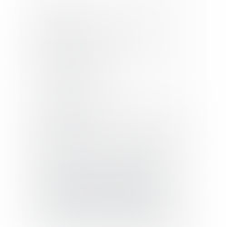 The Perfect Match: Finding a Reputable French Bulldog Breeder and Ongoing Support