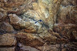 DSC_3573 sit.jpg