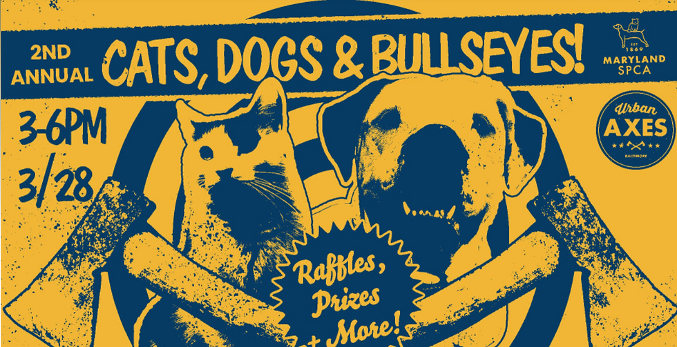 Cats, Dogs, and Bullseyes