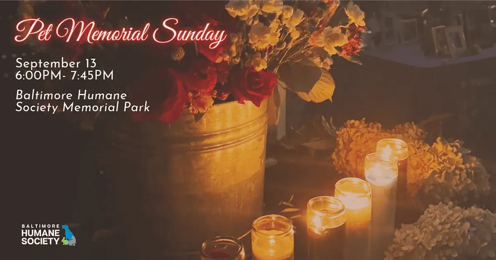 Pet Memorial Sunday