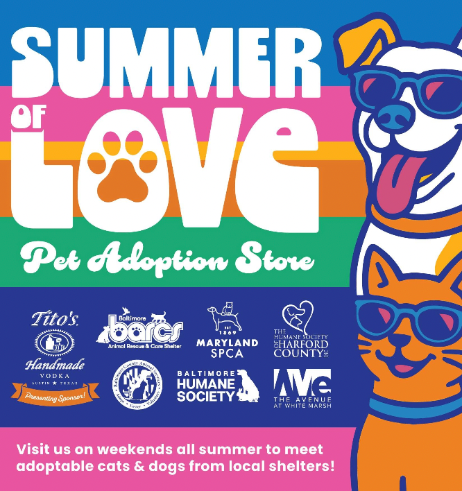Summer of Love Pet Adoption