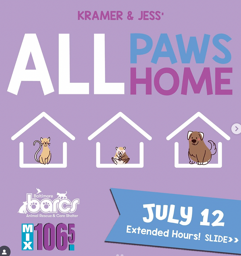 All Paws Home