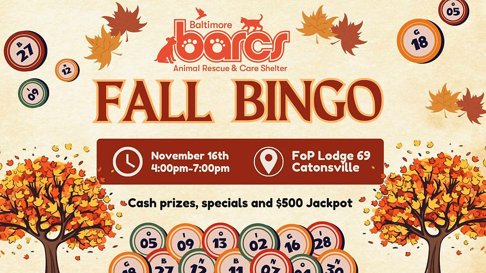 BARCS Bingo