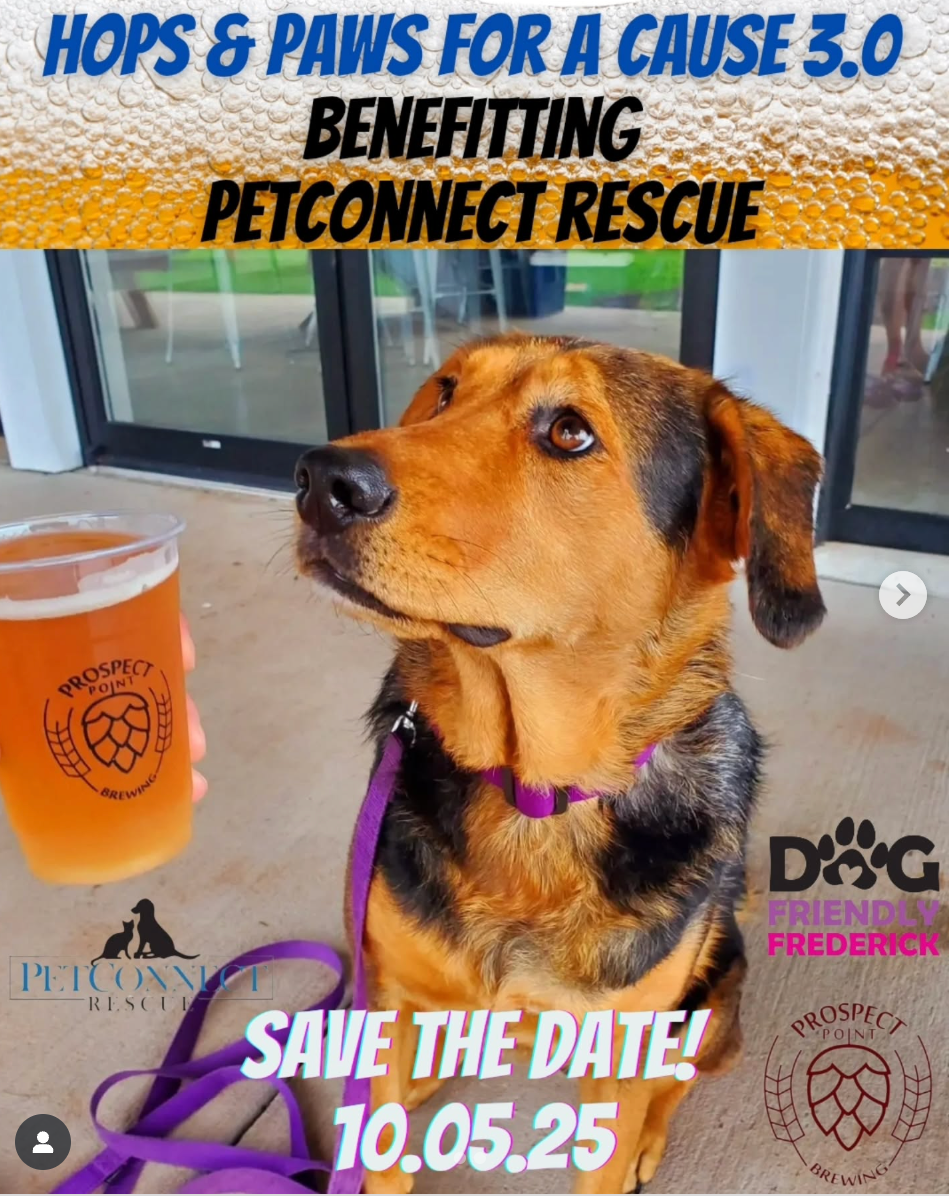 Hops & Paws for a Cause 3.0