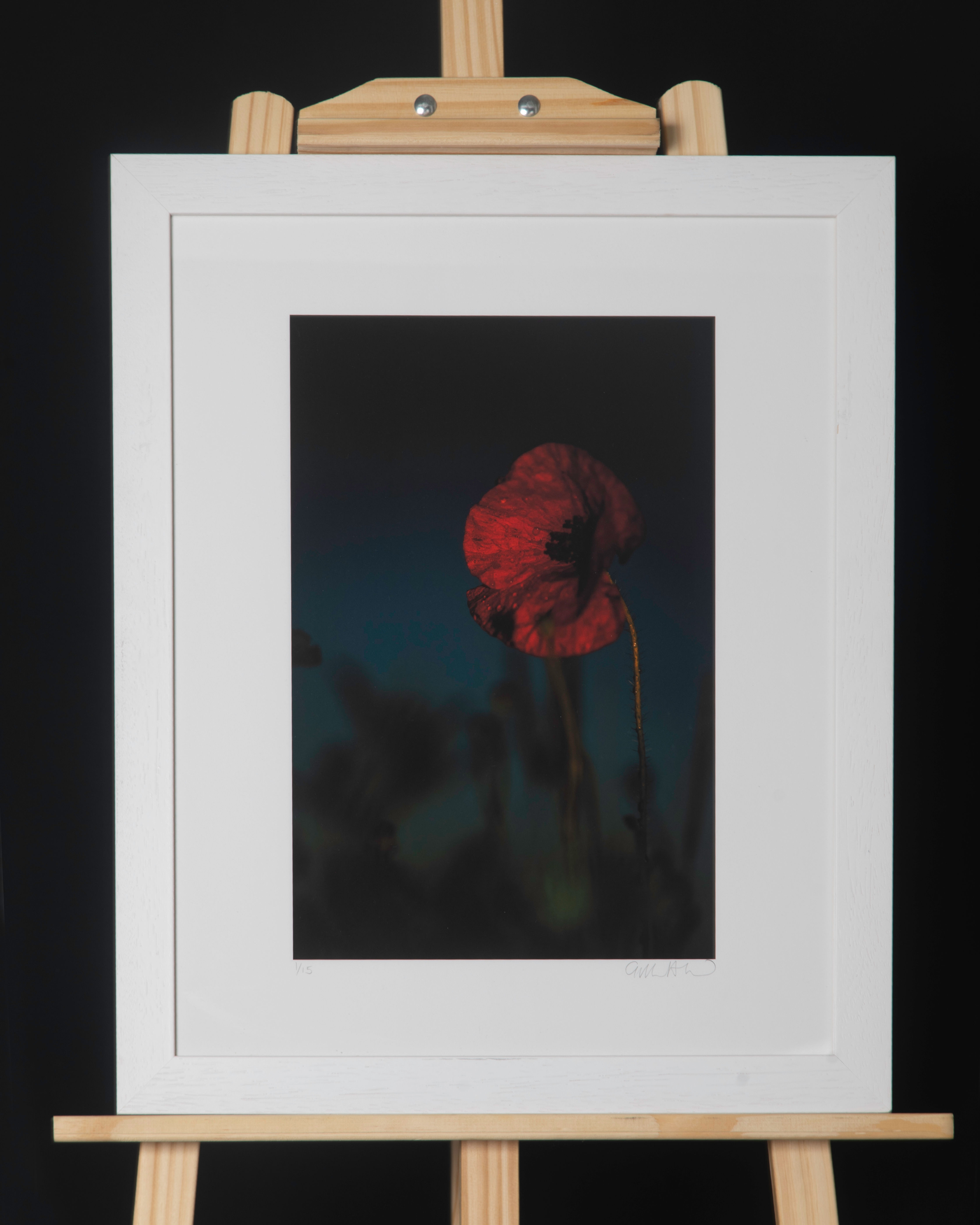 In the Night Garden - Suffolk