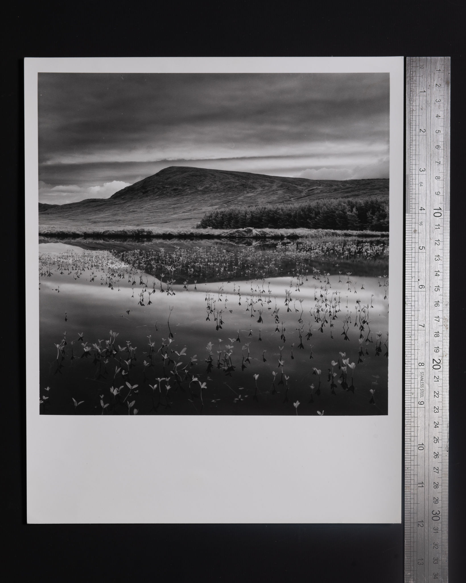 Roadside Lake, Gairloch area, Scotland, 2002