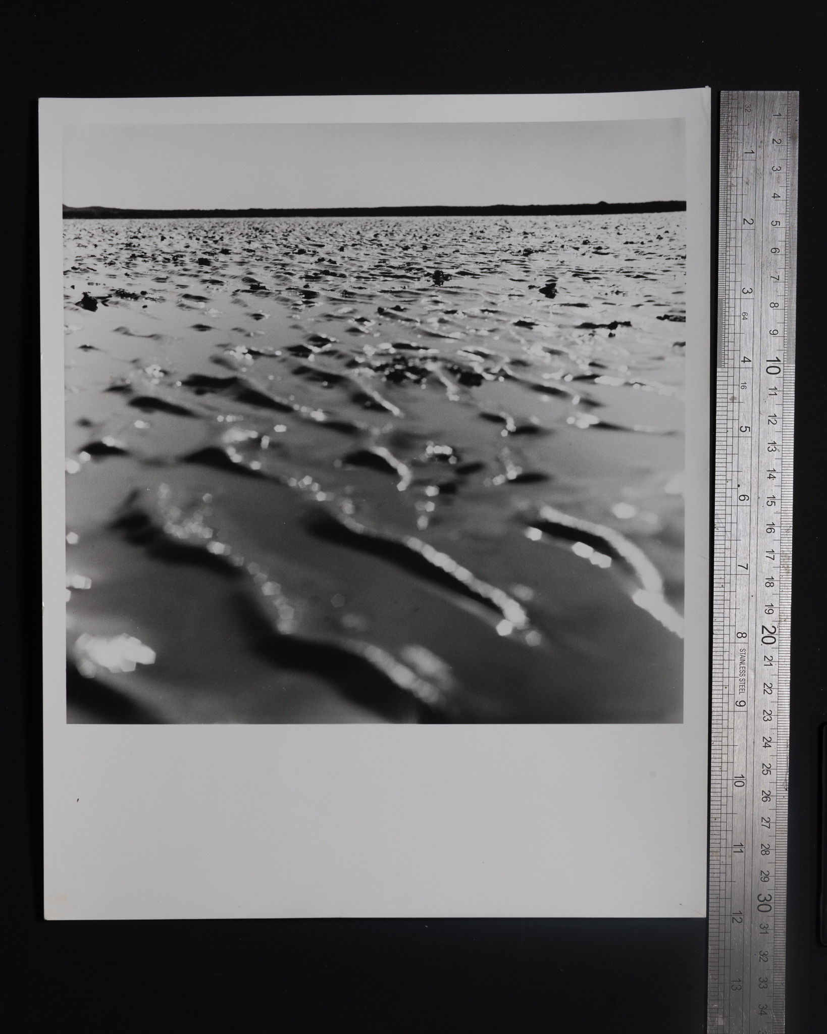 Southerness No.2, Solway Firth 2003