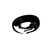 FAVPNG_dachshund-sleeping-dogs-cat-clip-