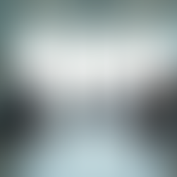 Connecting with WAI Bakalar Chapter Local Chapter Contact