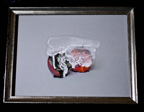 THE Apple #02 (2026) by Misuzu Shibuya: A seminal mixed-media photographic work exploring the material ontology of organic life, serving as the conceptual catalyst for the AIO theory.