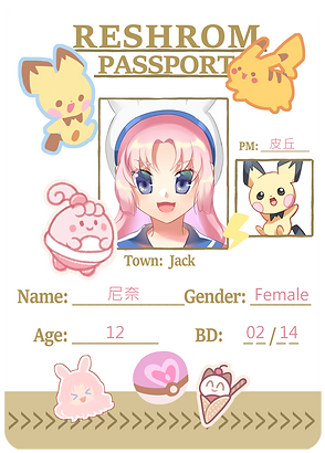 尼奈-捷克區通行証.png