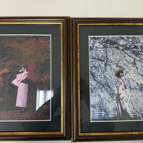 岡谷市で撮影・桜の写真とモミジの写真