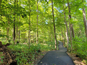 PA Trails Month: Upper Pottsgrove Trail Resurfacing Increases Accessibility to the Outdoors