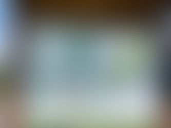 Park Spotlight: Ellis Woods