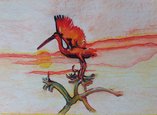 Exposição "A revoada dos Guarás" tem abertura neste sábado (18), no Casa d'Arte